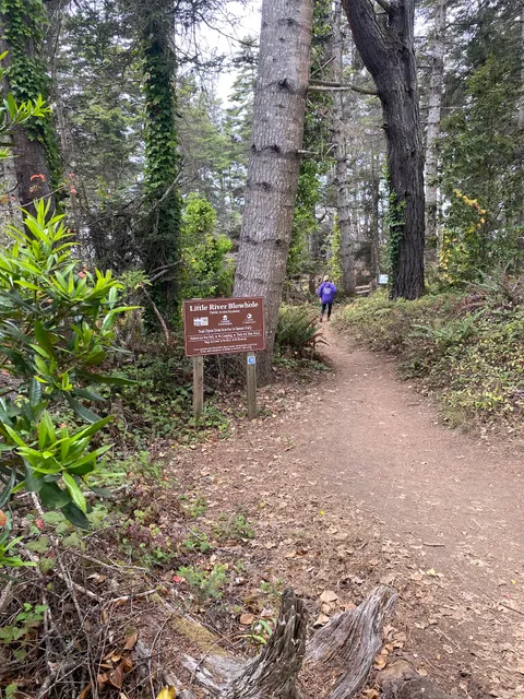 Blowhole Trail