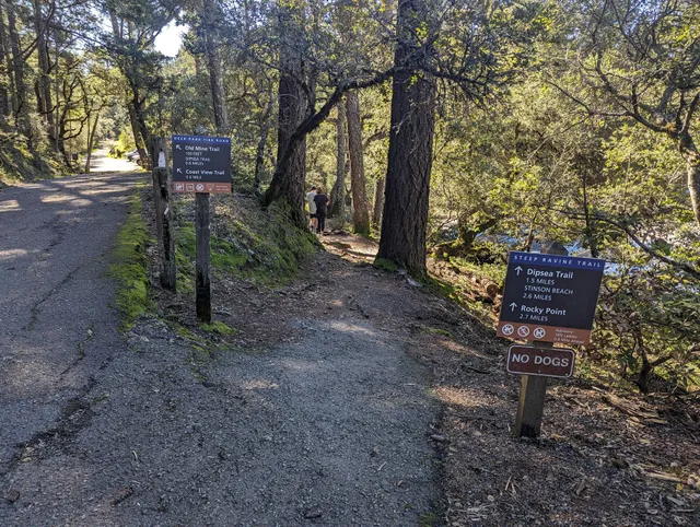 Pantoll Campground Parking