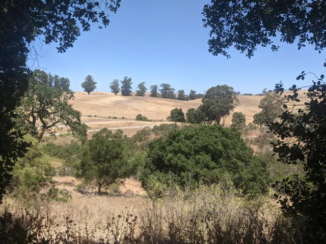 Arastradero Creek Trail