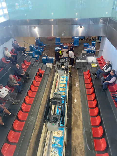 Llotja de peix de Gandia