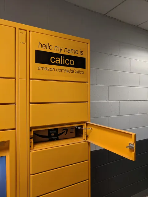 Amazon Locker - Calico