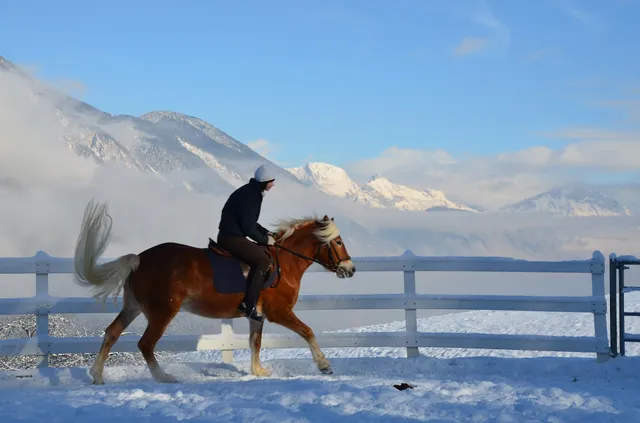 Ferienwohnung Inntalblick (Holiday Apartment)