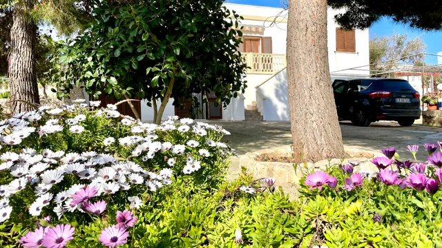 Le Macchie - Casa vacanze nel verde