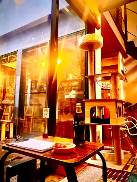 猫と水煙草(シーシャカフェ)