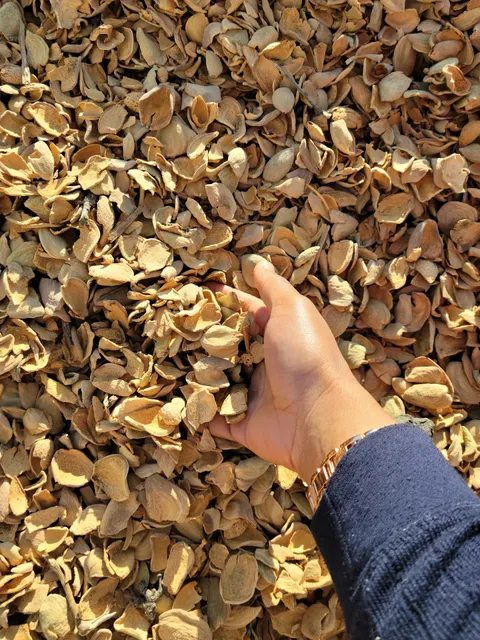 Central California Almond Grwr