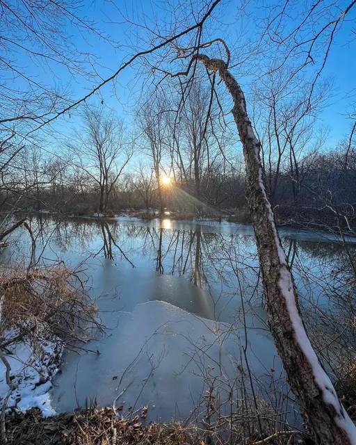 Charlotte State Forest Trail head