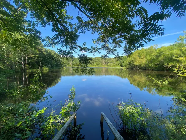 Ananda Kanan — Ozark Retreat Center