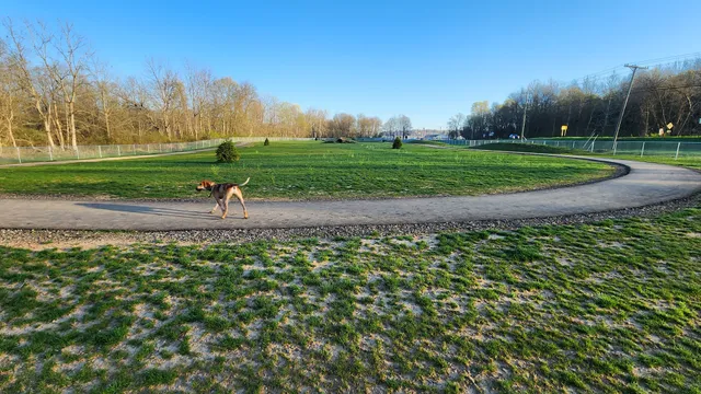 Bellville Dog Park Finnigans Run