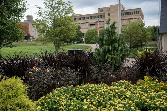 Salmon P. Chase College of Law