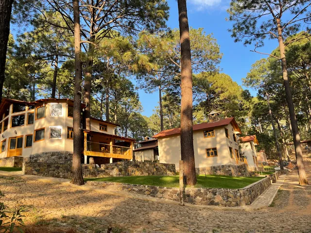 Cabañas Bosque Magico