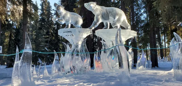 Tanana Valley Campground and RV Park