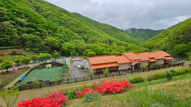 Palgongsan Geumhwa Natural Recreation Forest