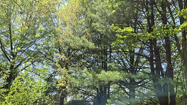 First United Methodist Church of East Greenbush