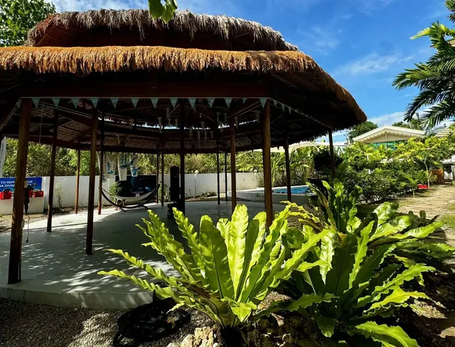 蓝色引力 . BLUE GRAVITY. WOW DIVING