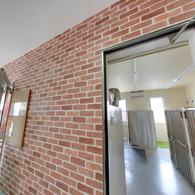 Ｋ'ｓドッグスクール