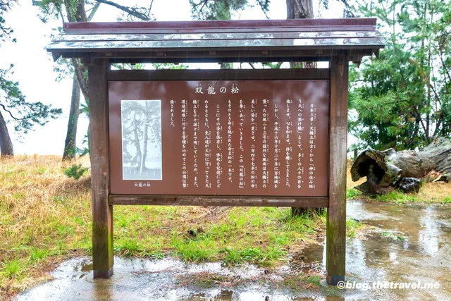 Souryu No Matsu (Broken twin-timbered pine tree)
