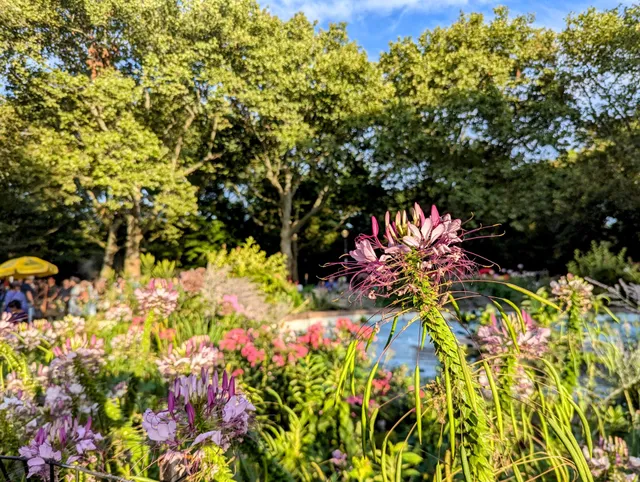 America-Israel Friendship Grove