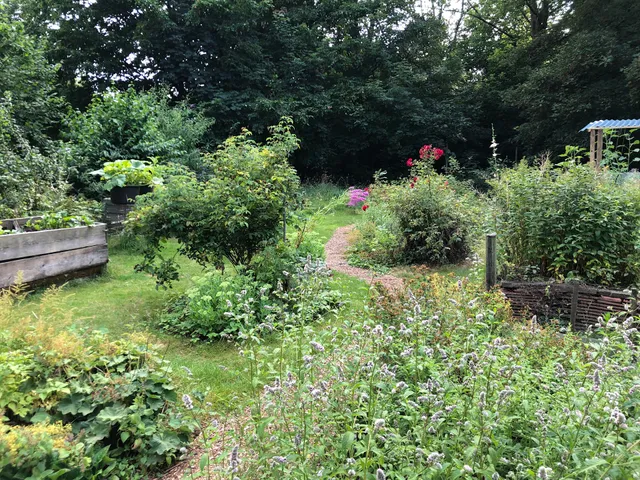 Gemeinschaftsgarten Siepental