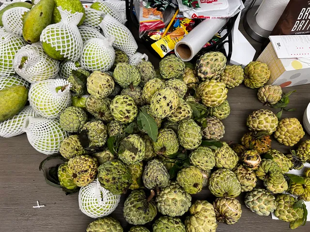 Bà 9 Vườn Trái Cây