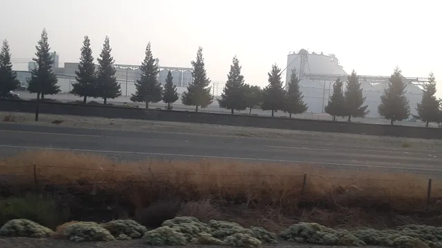 California Family Foods