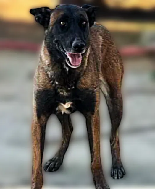 Salt Lake City Computer Repair Service