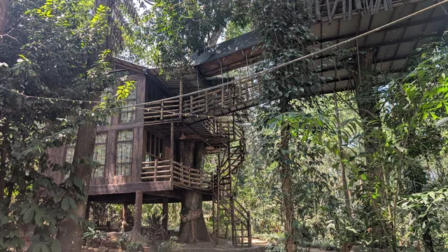 Jungle Jive Tree House
