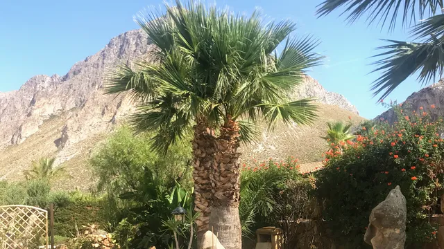 Home Holiday Baia Cofano