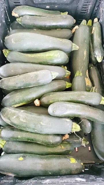 D Bar Farmers Market