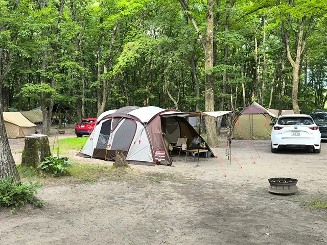 Kitakaruizawa Sweet Grass