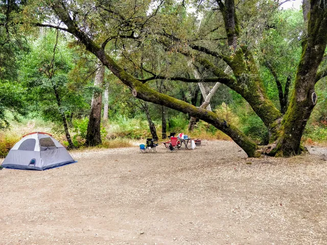 Alder Creek Camp