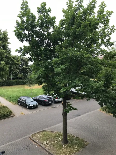 Moderne Oase Karlsruhe