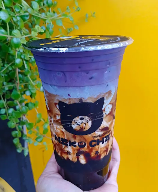 NEKOCHA ชาเหมียวเหมียว By P.CHER สาขาหางดง