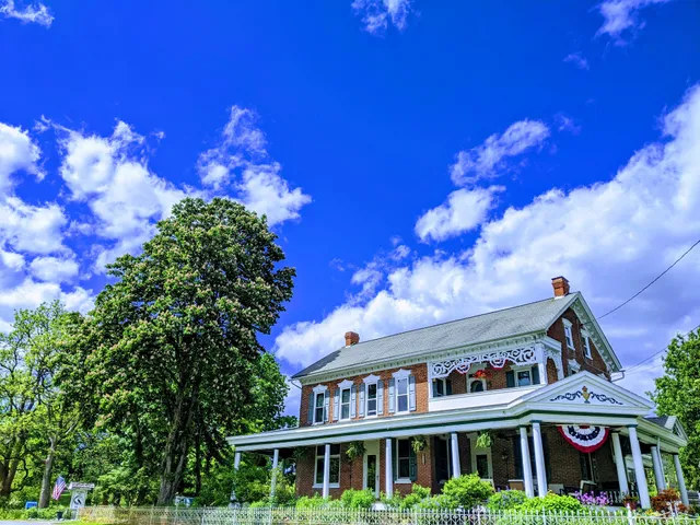 The Bird's Nest Bed and Breakfast