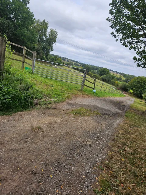 Ilex Farm Equestrian, Ilex Farm Camping, and Holly Cottage