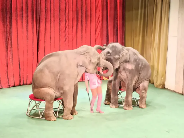 Ugolok Dedushki Durova