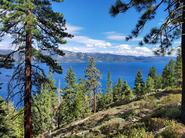 Trailhead for Stateline Fire Lookout