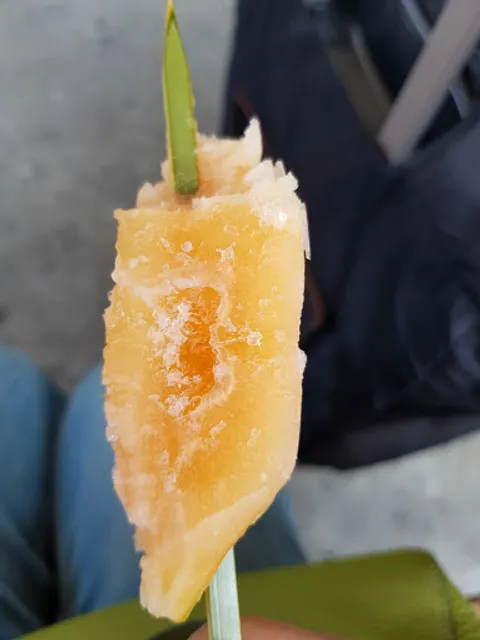 Wasian Chot Bar SOFU