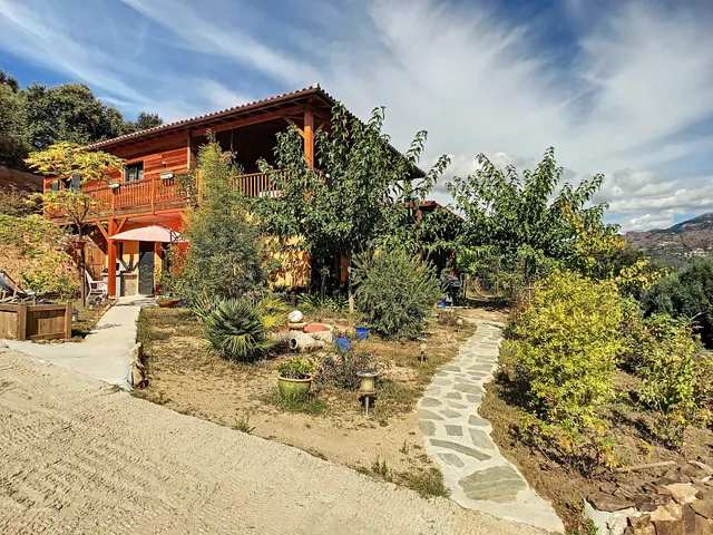 U mè Sognu / Alegria