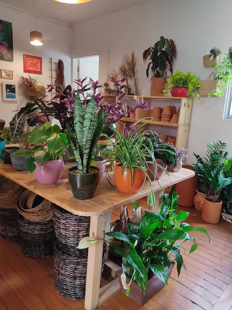 Vento Verde - Decore com Plantas