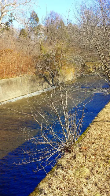 Northwest Essex Community Healthcare Network