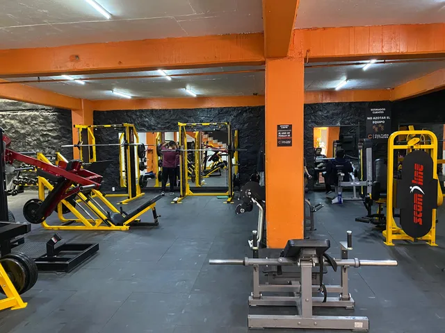 Gimnasio Cultura Fitness
