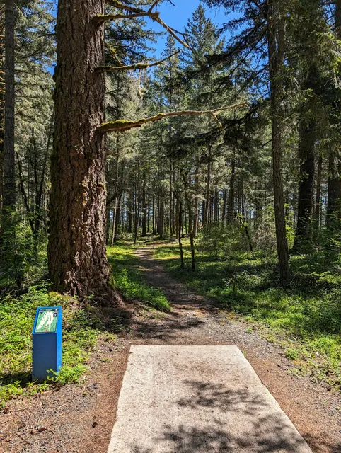 Shelton Springs Disc Golf Course