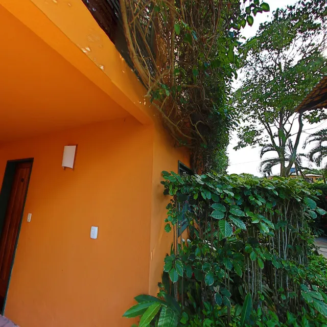 Residence Corner Yellow Rose