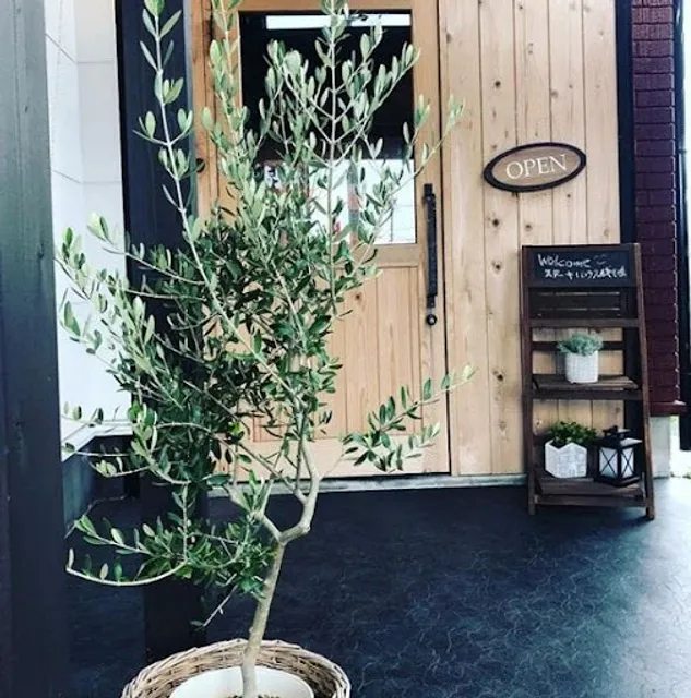 Narushima Shimadamise Steak House