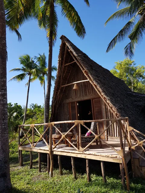 Dolphin safari lodge