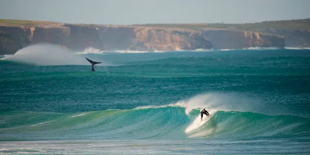 Logans Beach Apartments