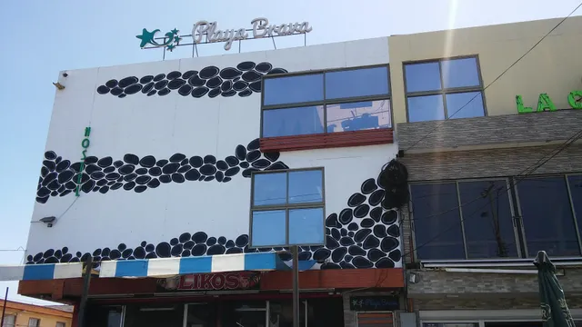 Hotel Playa Brava