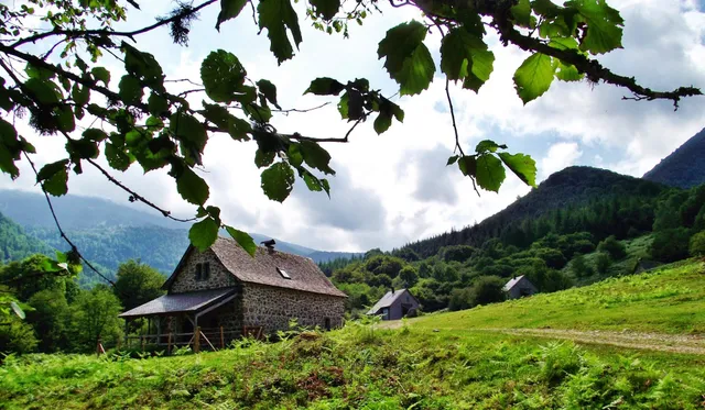 Les chalets de la forêt d'Issaux