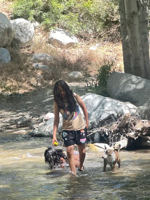 Barrett Family AC Experts