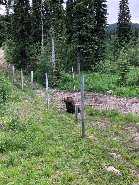 Grizzly Bear Interpretive Centre